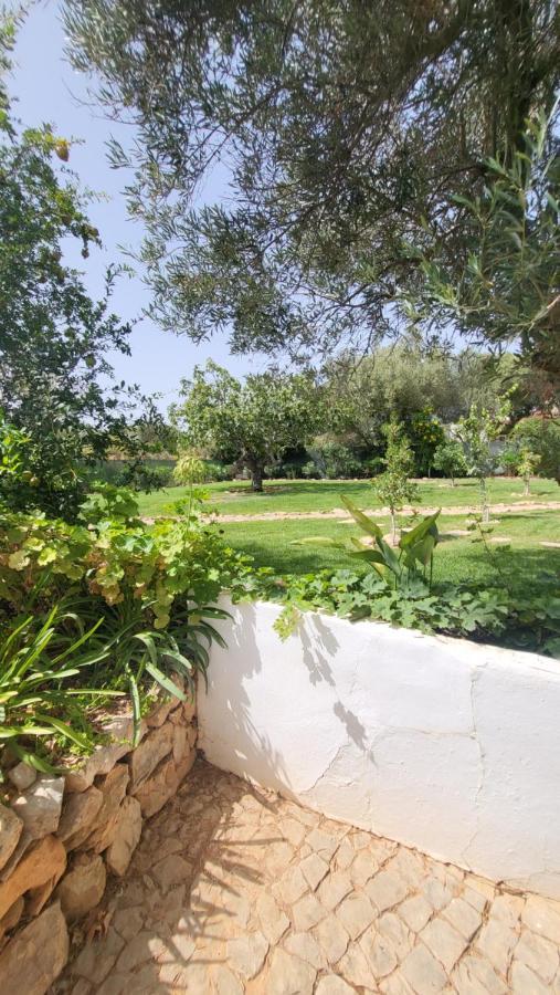 فندق Casa Aventura بلوكويم المظهر الخارجي الصورة