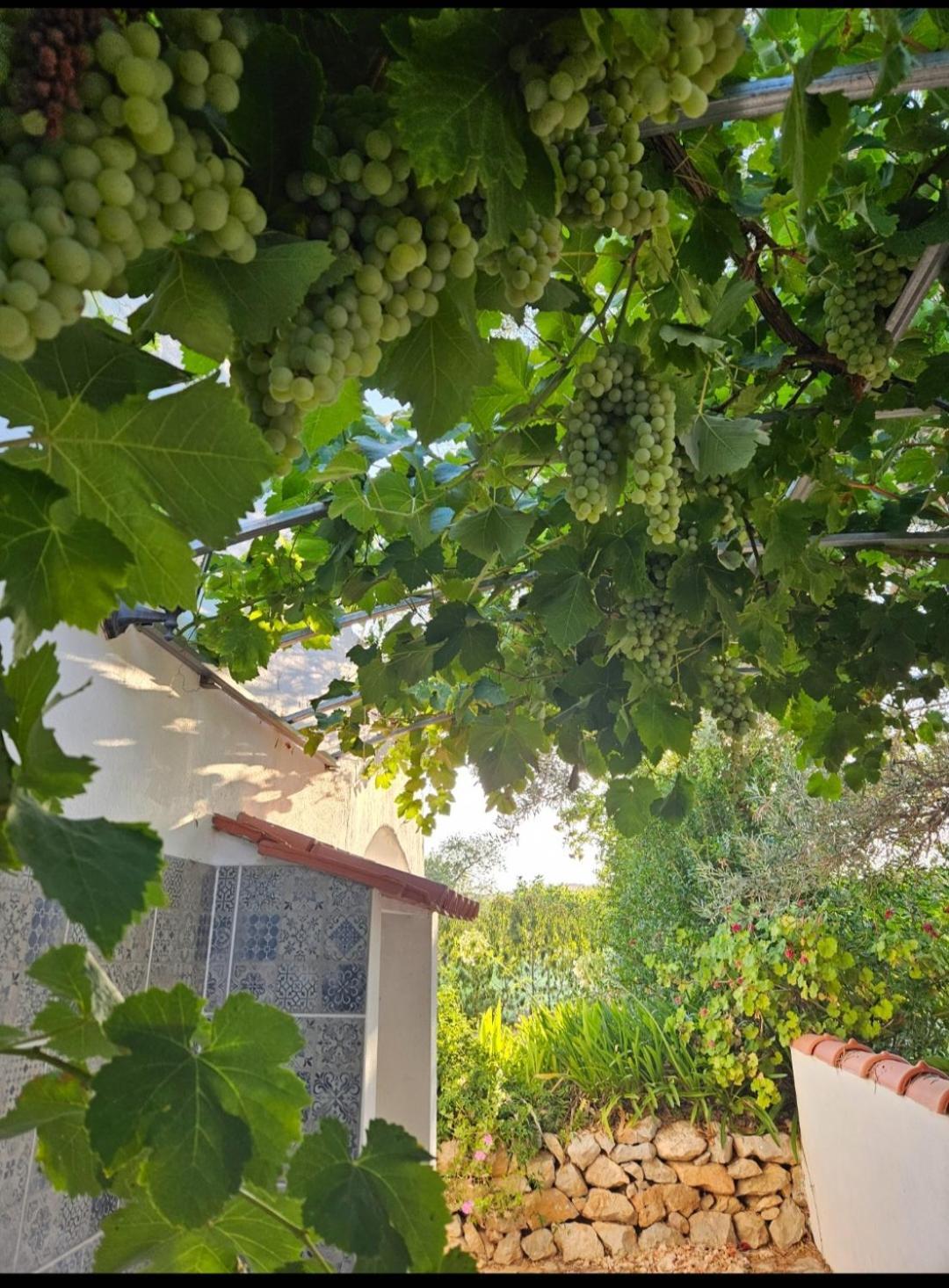 فندق Casa Aventura بلوكويم المظهر الخارجي الصورة