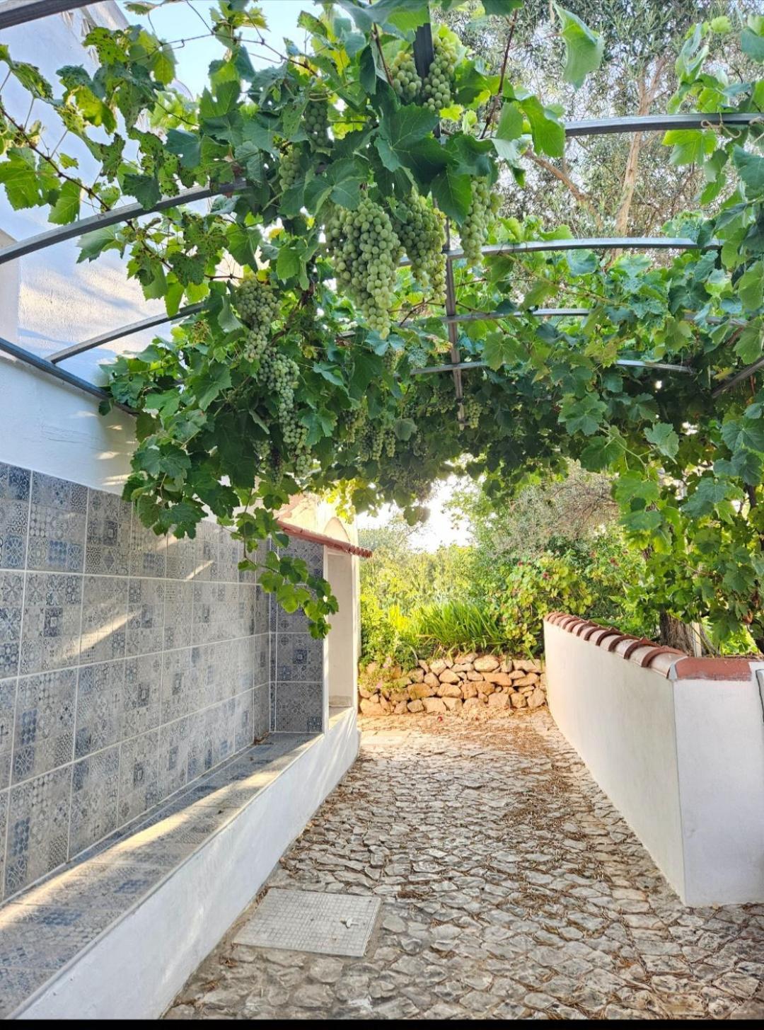 فندق Casa Aventura بلوكويم المظهر الخارجي الصورة